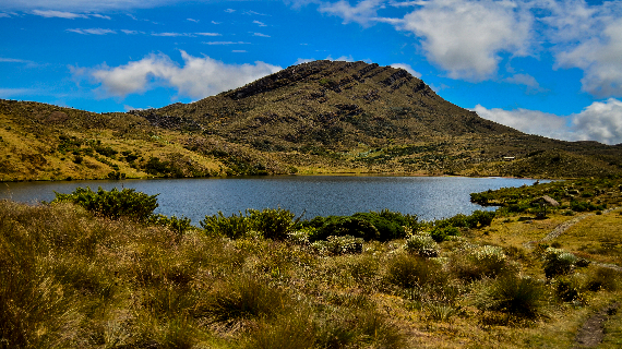 SOGA..-LAGUNA